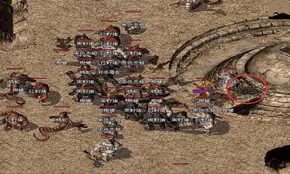 热血燃岁月,传奇不负卿 热血燃岁月,传奇不负卿