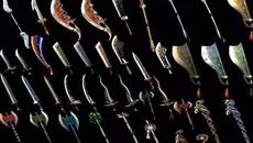 �ط��귨��Ѫ���ɣ����䴫�������ٹ�